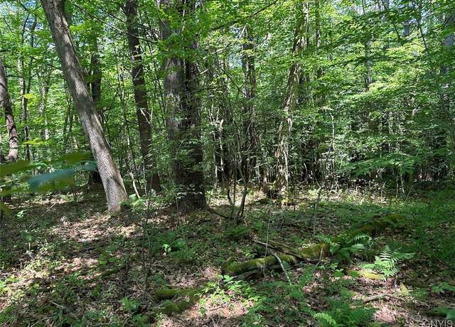 Property at 6546 Richburg Hill Rd, Wirt, NY 14715