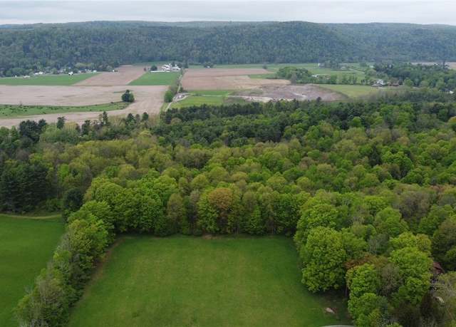 Property at 170 Fisher Settlement Rd, Spencer, NY 14883