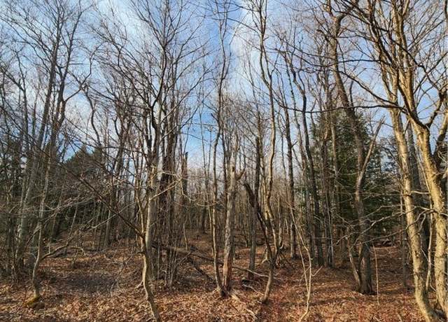 Property at 000 Jess Dr, Redfield, NY 13437