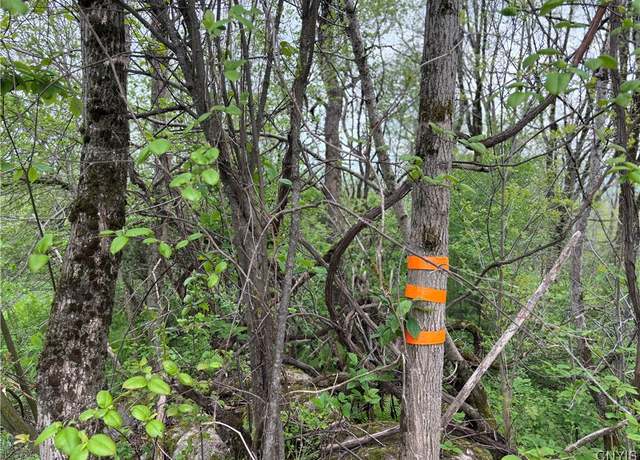 Property at Sulphur Springs Rd Rd, Norway, NY 13416