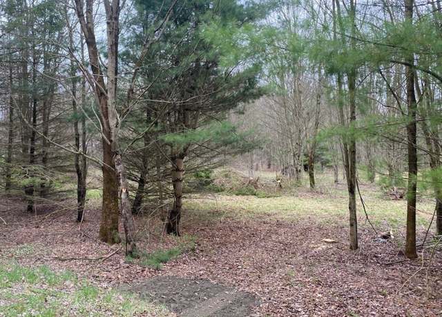 Property at Pine Hill Rd, Marathon, NY 13803