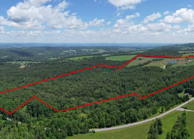 Property at 989 Robinson Rd, Warren, NY 13407