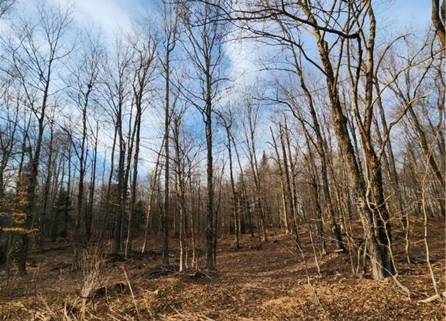 Property at 0000 Jess Dr, Redfield, NY 13437