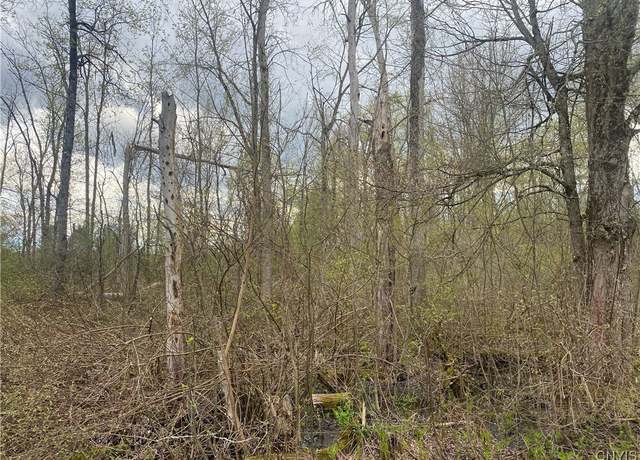 Property at Seifert Rd, Rome, NY 13440