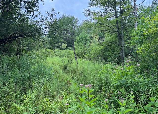 Property at 10750 Chapple Stoughton Rd, Napoli, NY 14772, 1 bed