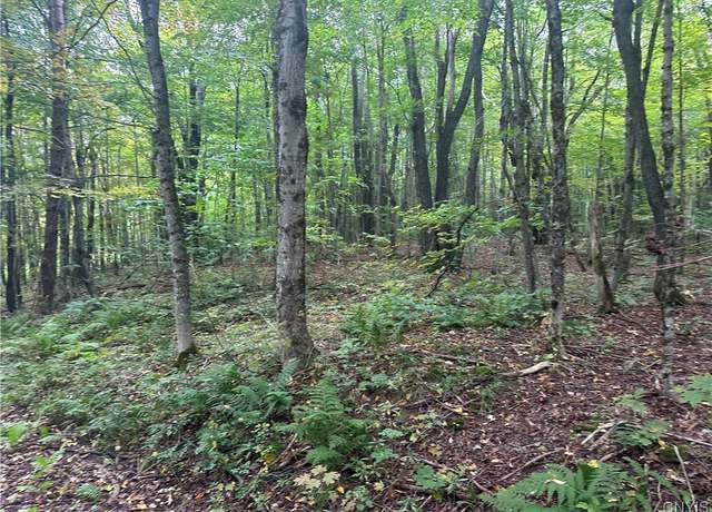 Property at Lot 1 Bice Rd, Worth, NY 13659