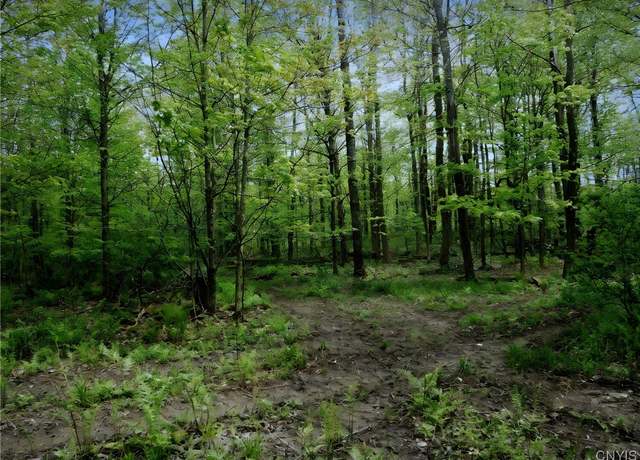 Property at Doyle Rd, Brookfield, NY 13485