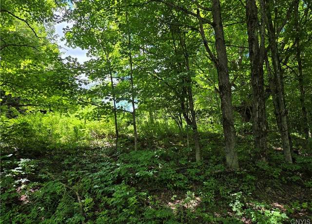 Property at Houseville Gulf Rd, Martinsburg, NY 13404