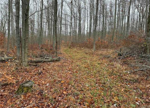 Property at Dry Brook Rd, Ellington, NY 14733