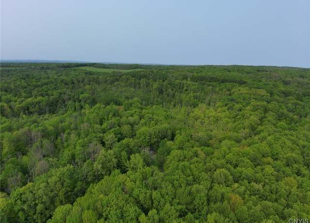 Property at 0000 Lynch Rd, Norway, NY 13416