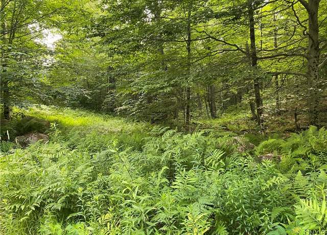 Property at 0 State Route 28, Webb, NY 13472