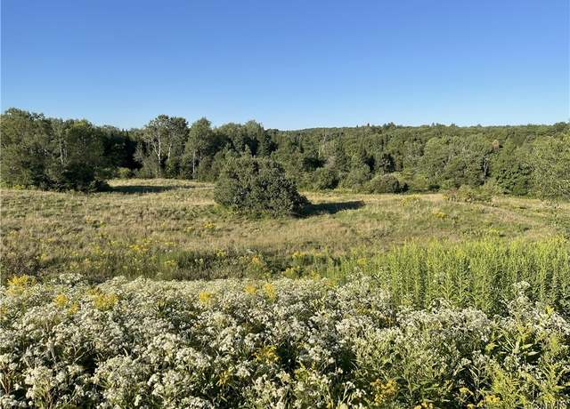 Property at Weiler Rd, Lewis, NY 13325