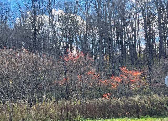 Property at 0000 Nys Route 28, Trenton, NY 13304
