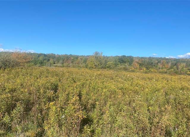 Property at 00 Kempshaw Rd, Granger, NY 14836