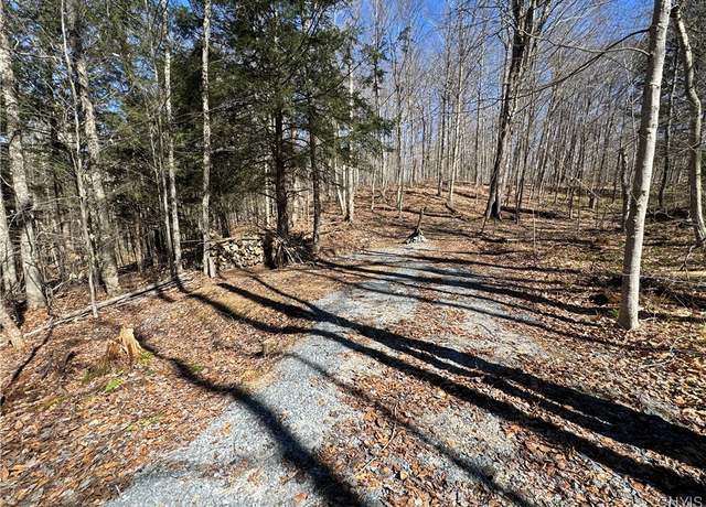 Property at 249 Tomahawk, Forestport, NY 13338