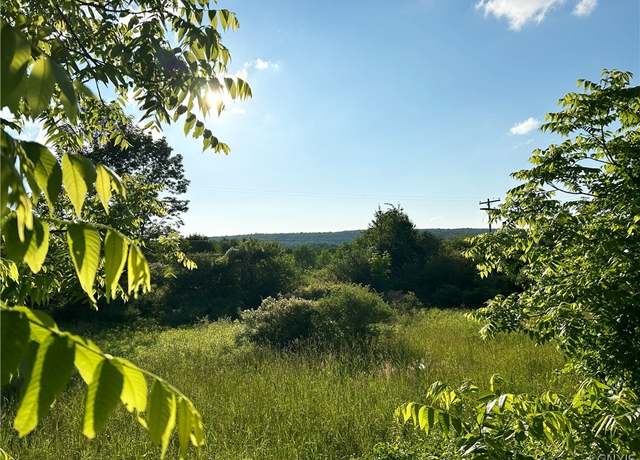 Property at 0 Syrian Hill Rd, Solon, NY 13101