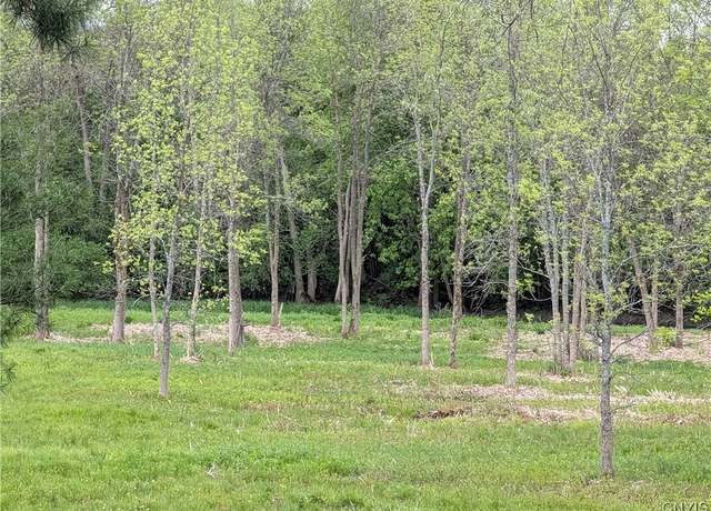 Property at 16744 Lot #2D Thompson Trail Dr, Brownville, NY 13634