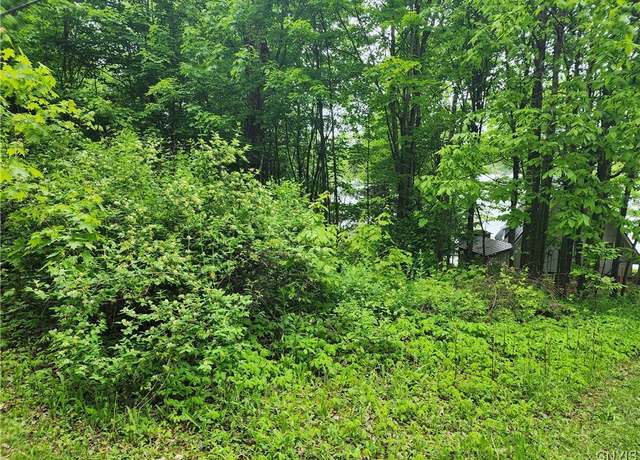Property at 00 Owls Nest Dr, Theresa, NY 13691