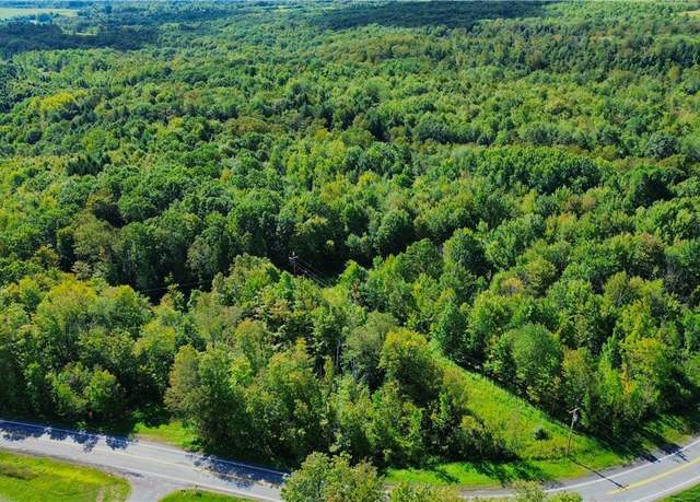 Property at Lot 5-5 Paines Hollow Rd, Little Falls Town, NY 13407