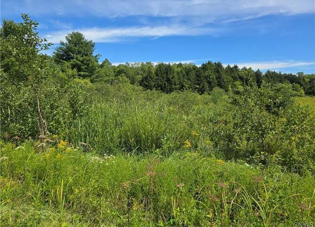 Property at Hayes Rd, Florence, NY 13316