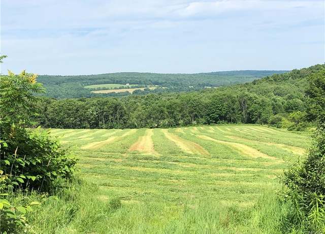 Property at 608 Pendell Hill Rd, Barker, NY 13862