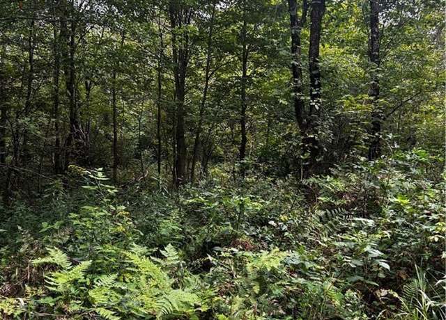 Property at 00 Abes Dr, Redfield, NY 13437