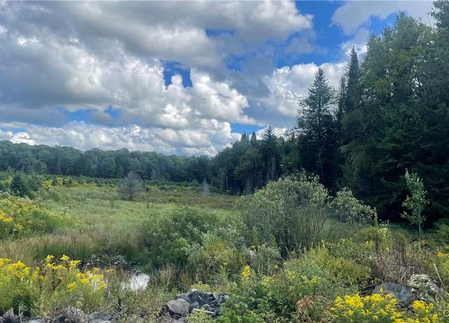 Property at 0 Beecher Rd, West Turin, NY 13325
