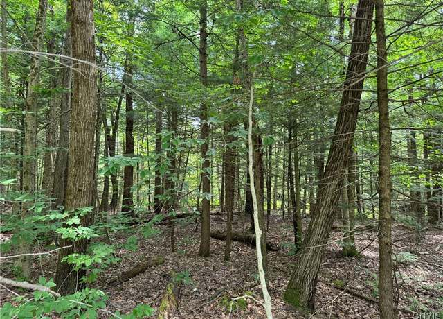 Property at L1 California Rd, Vienna, NY 13316