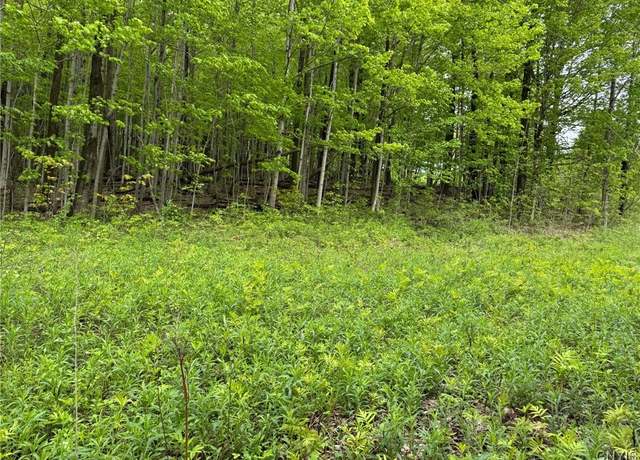 Property at Old State Rd, Nelson, NY 13061