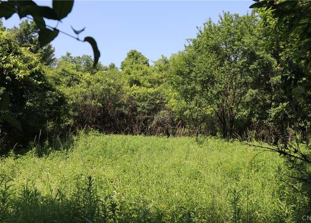Property at Lot 1 Mcdonald Rd, Onondaga, NY 13215