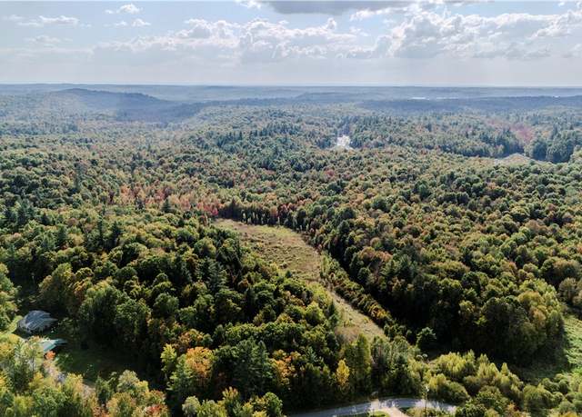 Property at Lot C Corbine Rd, Diana, NY 13648