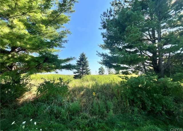 Property at 24458 Dano Rd, Theresa, NY 13691