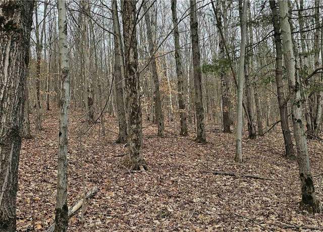 Property at Thayer Rd, Erin, NY 14838