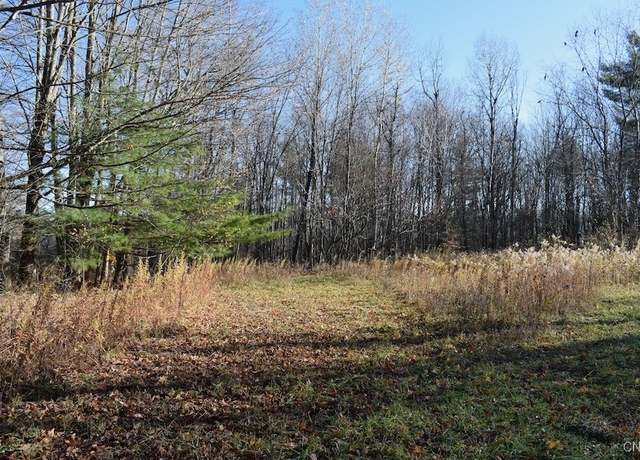 Property at 206 Durgee Rd, Orwell, NY 13302