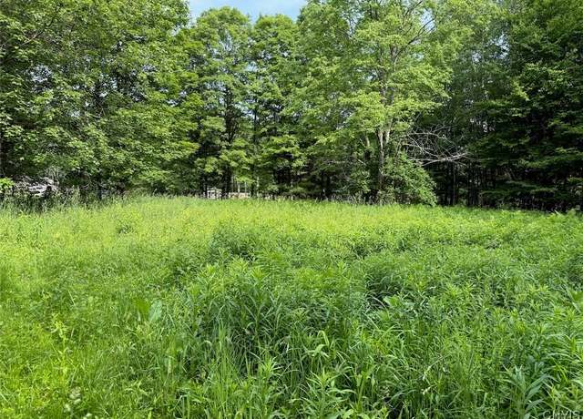 Property at 206 Durgee Rd, Orwell, NY 13302