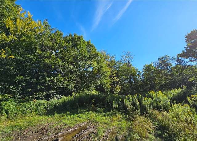 Property at 00 Rowsam Rd, Martinsburg, NY 13404