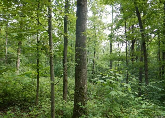 Property at 0 Starks Rd, Newfield, NY 14867