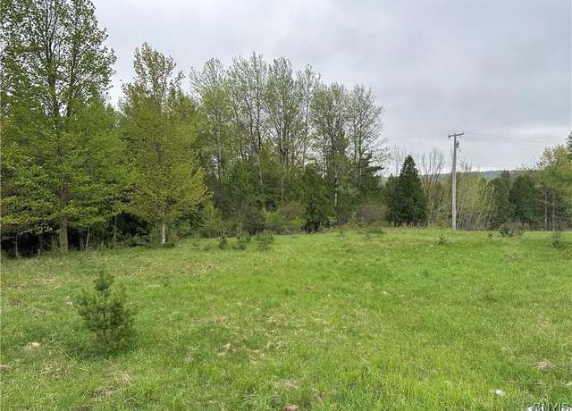 Property at Lot 2B Nys Route 126, Champion, NY 13619