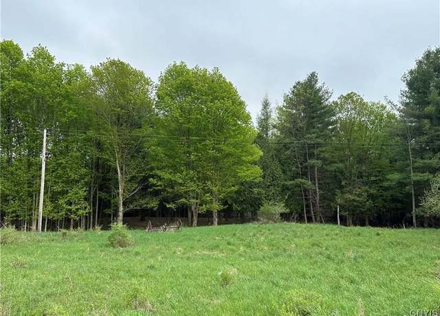 Property at Lot 2C Nys Route 126, Champion, NY 13619
