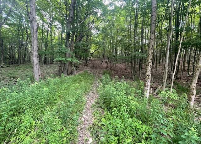 Property at 0 Thermopylae Dr, Virgil, NY 13045