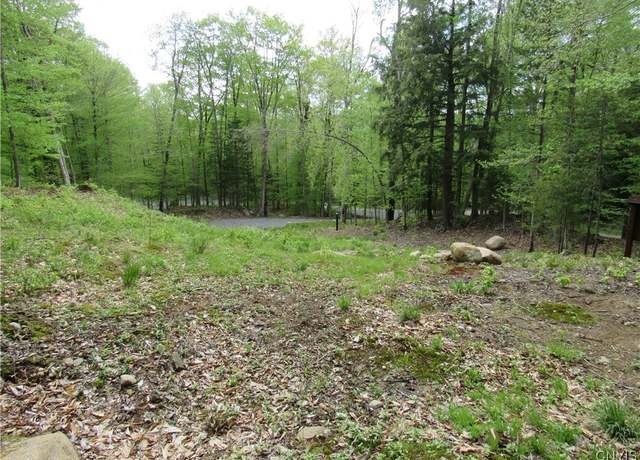 Property at 142 Joy Tract Rd, Webb, NY 13420