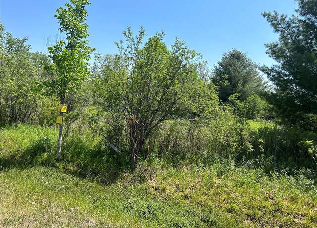 Photo of 0 Peruville Rd, Dryden, NY 13068