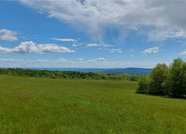 Property at 2007 Dairy Hill Rd, Norway, NY 13416