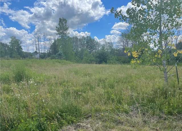 Property at Lot B1 Peregrin Ln, Cicero, NY 13029