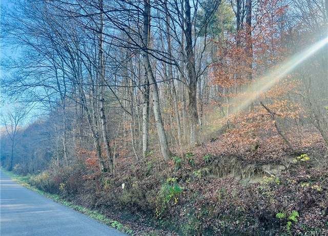 Property at 0 W Cheningo Road Rd, Truxton, NY 13158
