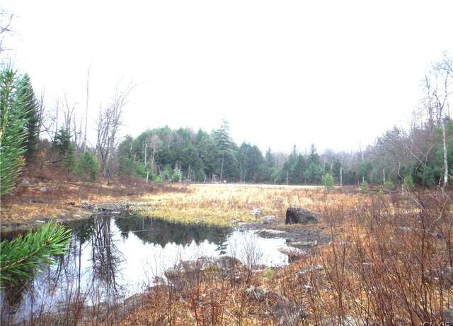 Property at 000 Buck Lake Rd, Forestport, NY 13338
