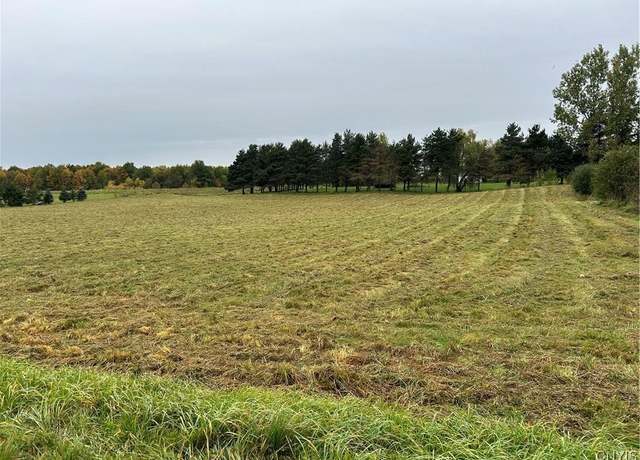 Property at 0 Plank Rd, Pamelia, NY 13616