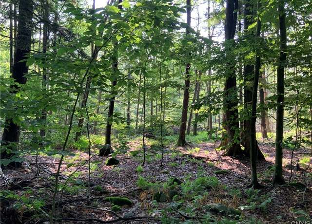Property at 25 Lincoln Mountain Rd, Greenfield, NY 12833