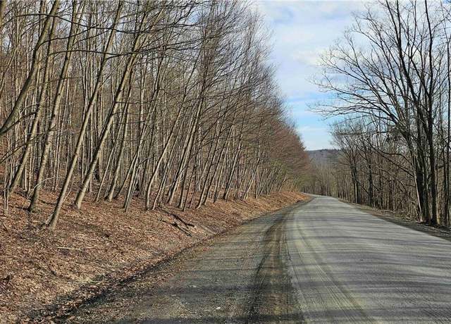 Property at Barden Hill Rd, Richford, NY 13835
