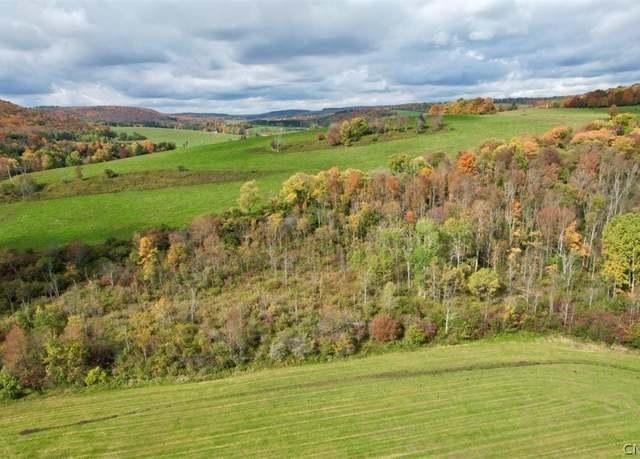 Property at 5073 S Lebanon Rd, Lebanon, NY 13332